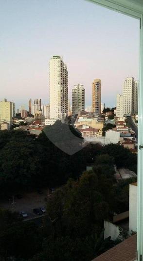 Foto REO166655
