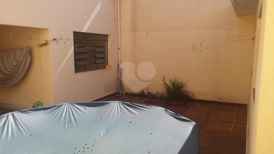 Foto REO166698