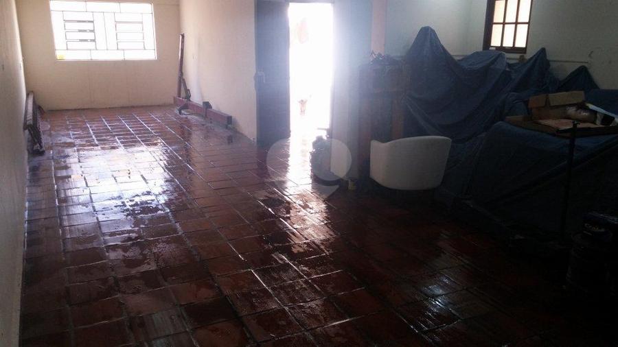 Foto REO166698