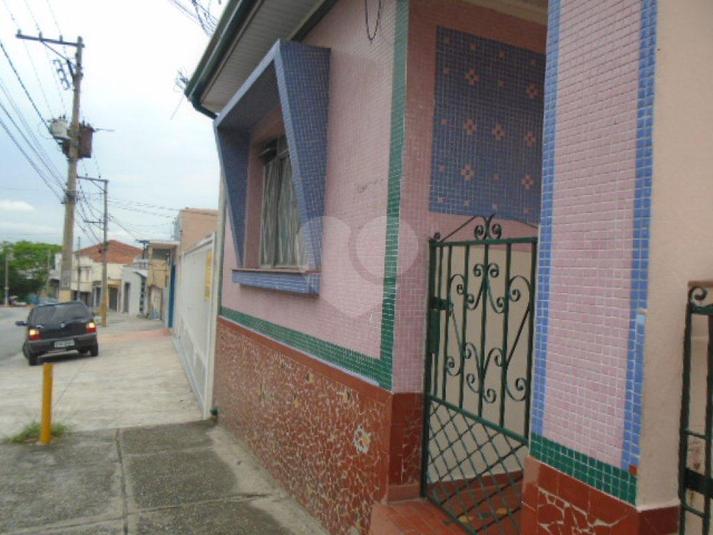 Foto REO166713