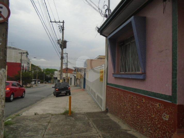 Foto REO166713
