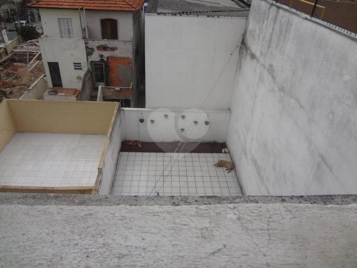 Foto REO166743