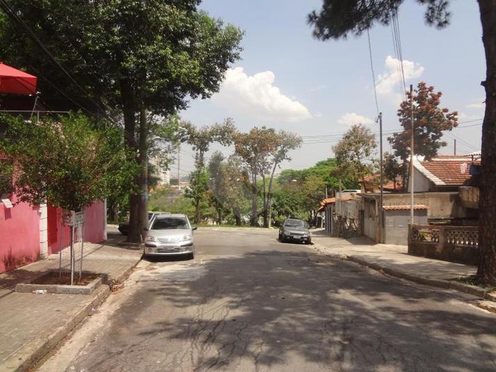 Foto REO166743