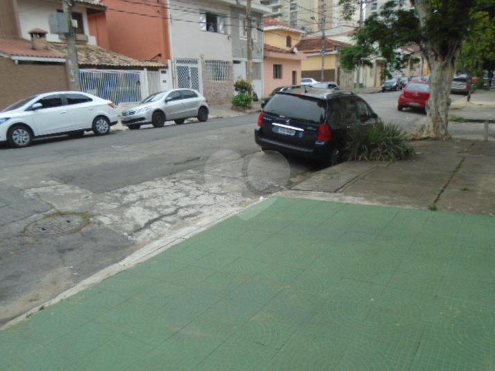 Foto REO166746