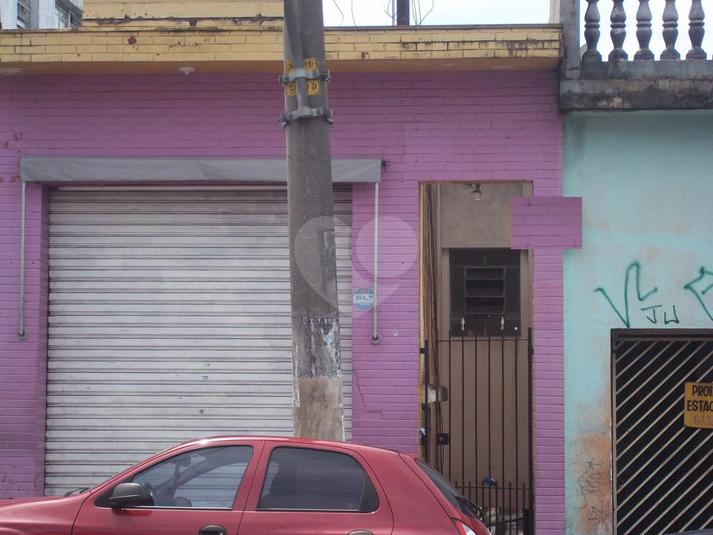 Foto REO166802