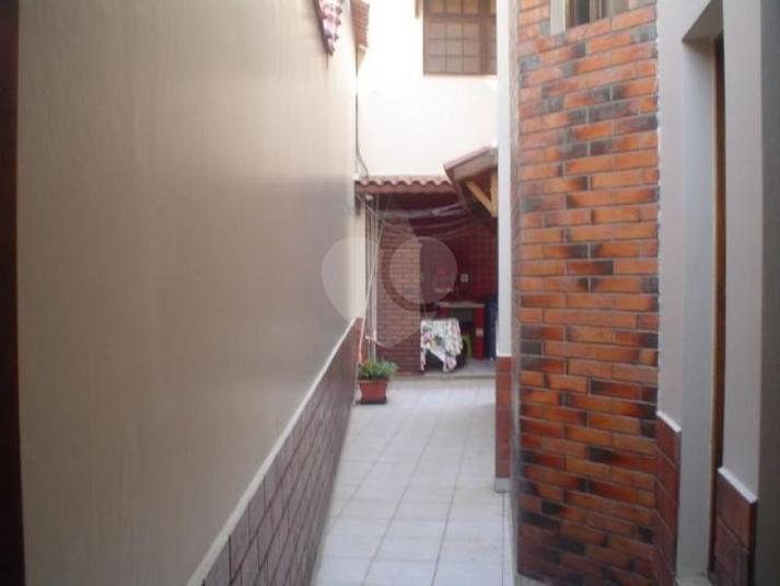 Foto REO166804