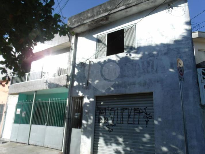 Foto REO166982