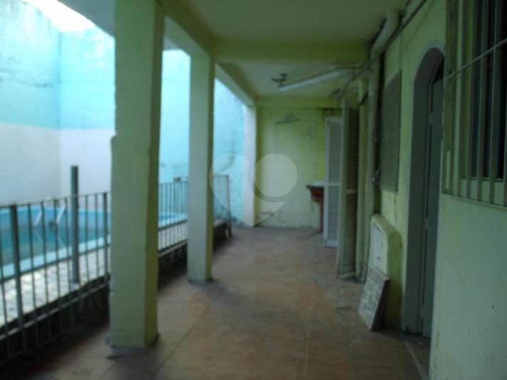 Foto REO166982