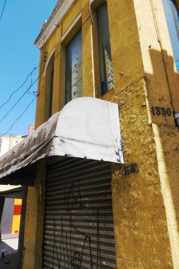 Foto REO167183