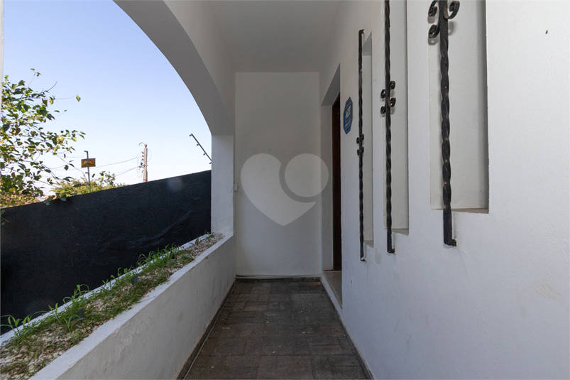 Foto REO167234
