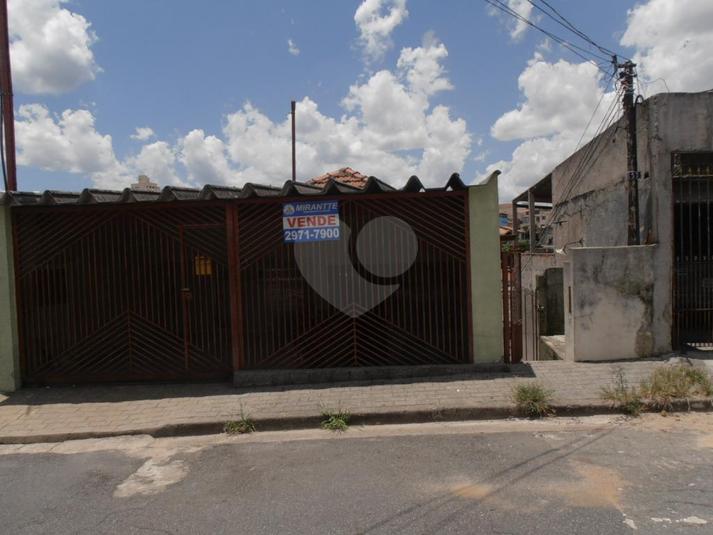 Foto REO167442