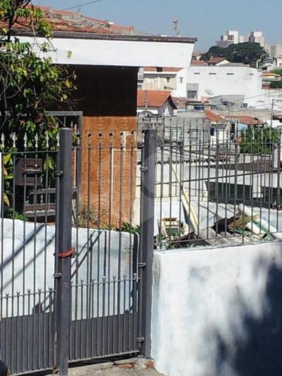 Foto REO167457