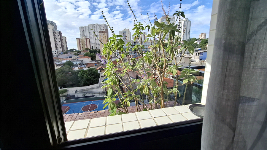 Foto REO167587