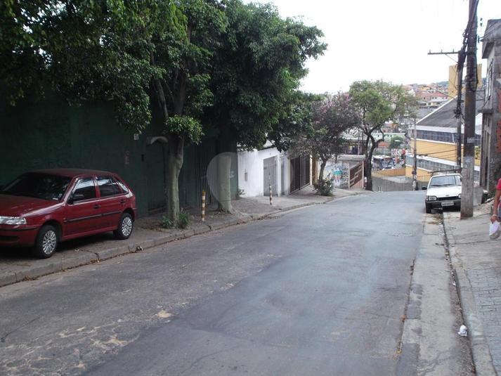 Foto REO167593