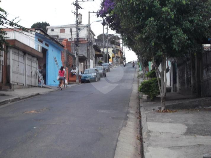 Foto REO167593