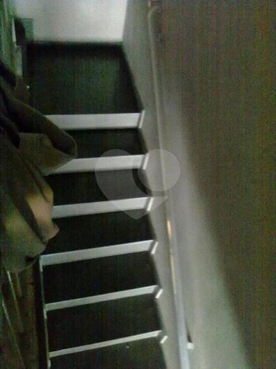 Foto REO167631