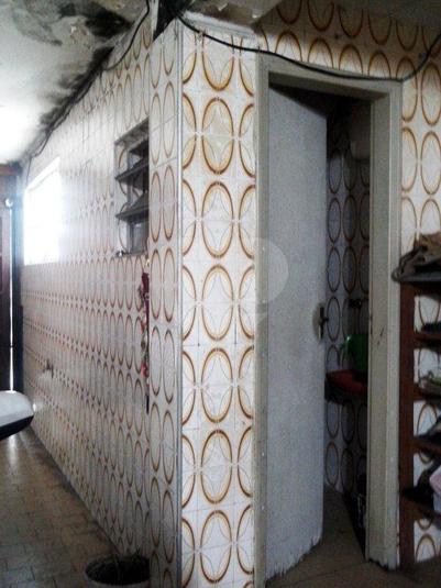 Foto REO167639