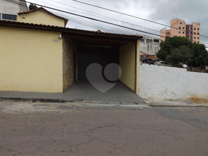 Foto REO167823