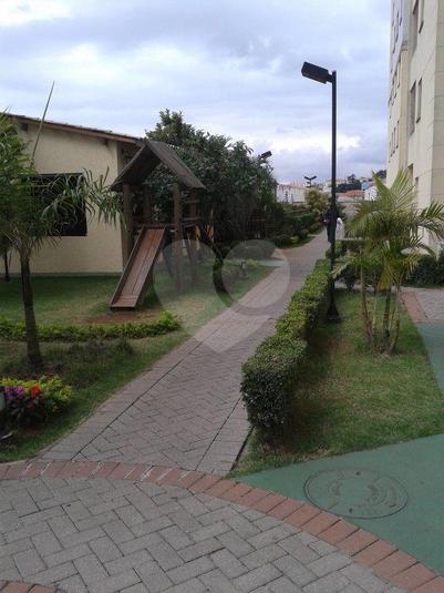 Foto REO167831