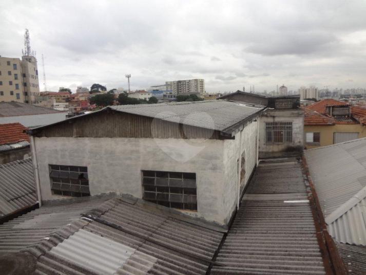 Foto REO167867
