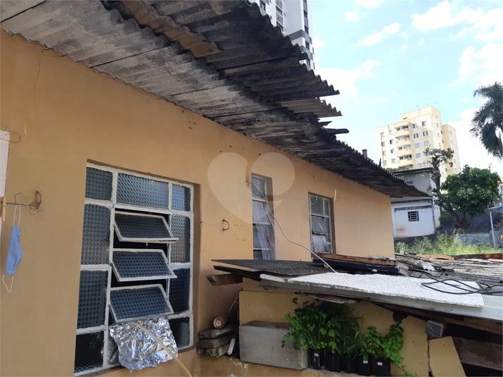 Venda Terreno São Paulo Vila Paulicéia REO167896 22