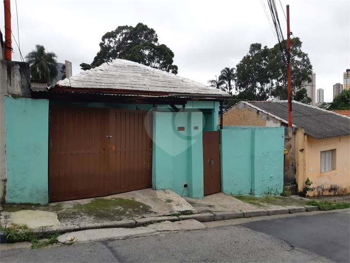 Foto REO167896