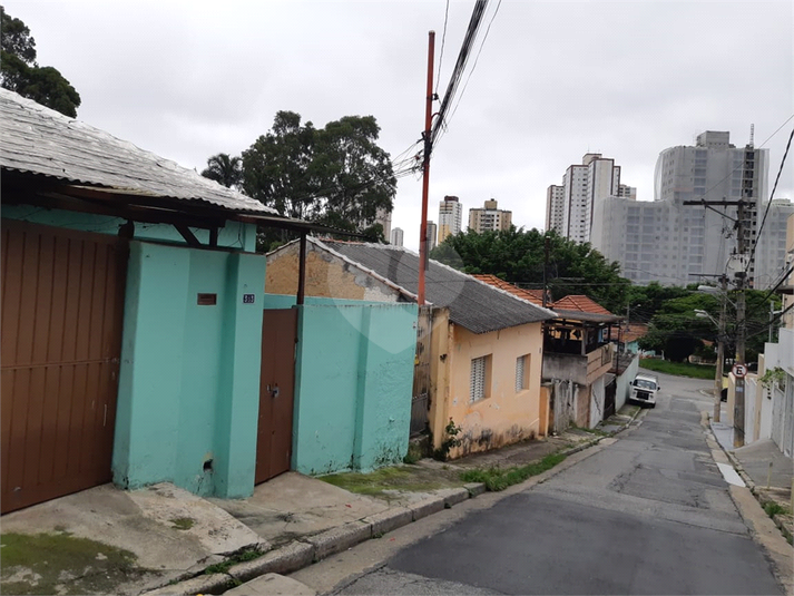 Foto REO167896