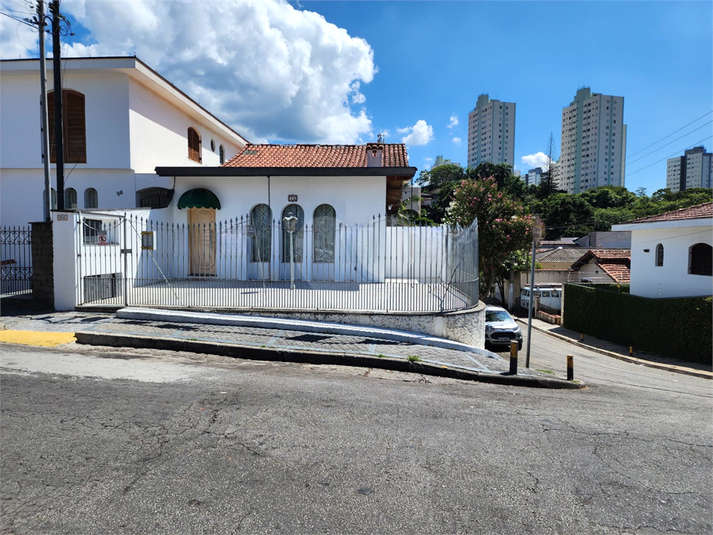 Foto REO167961