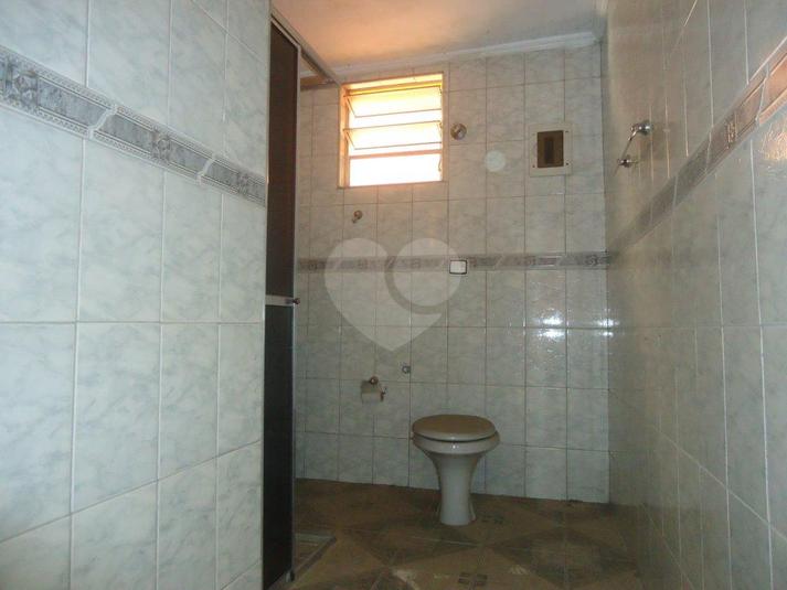 Foto REO167985