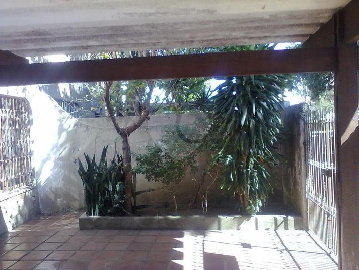Foto REO168051