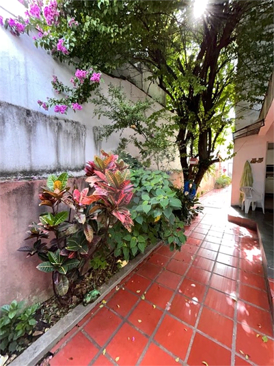 Venda Casa São Paulo Jardim São Paulo(zona Norte) REO168109 40