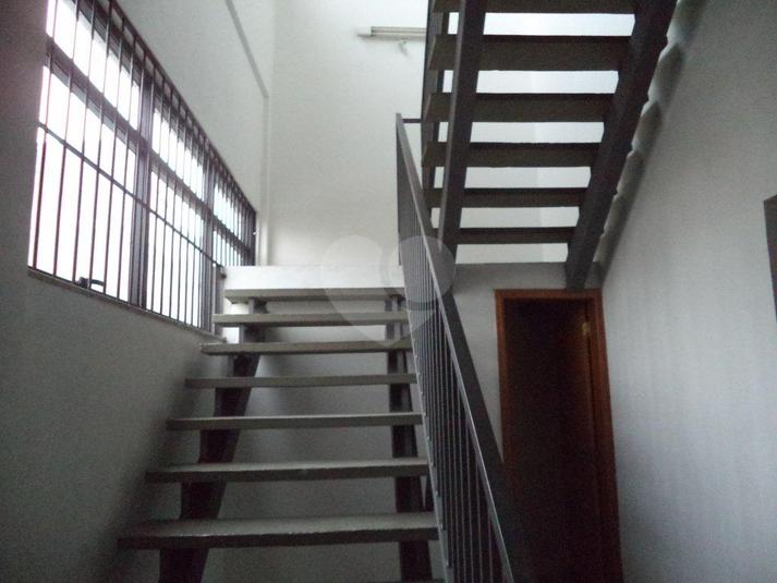 Foto REO168428