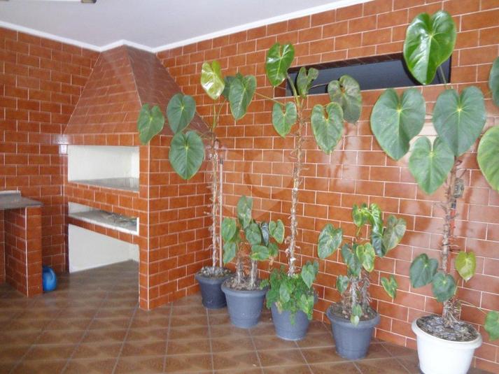 Venda Casa São Paulo Jardim Guapira REO168435 12