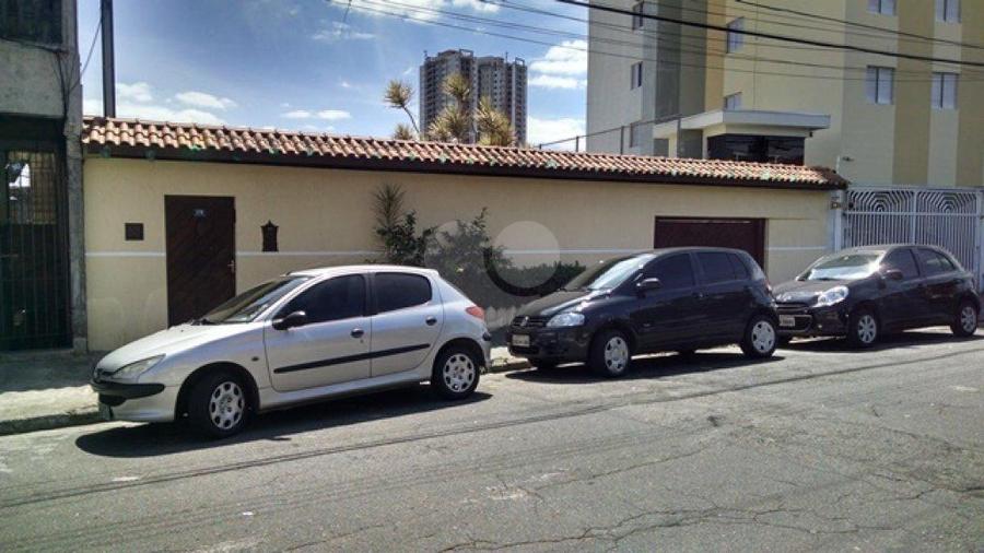 Foto REO168484