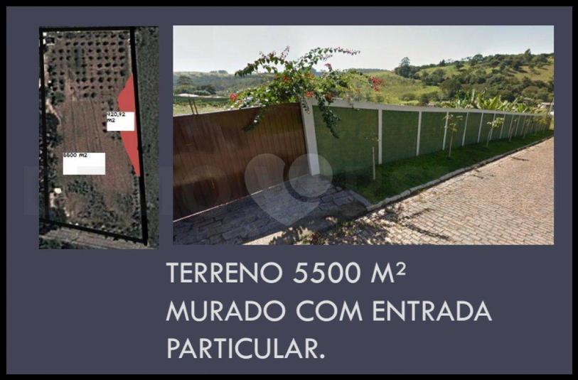 Foto REO168587