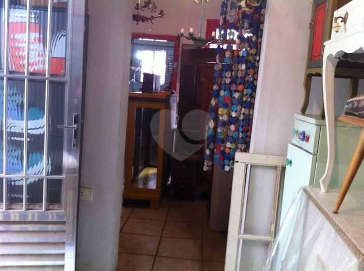 Foto REO168709