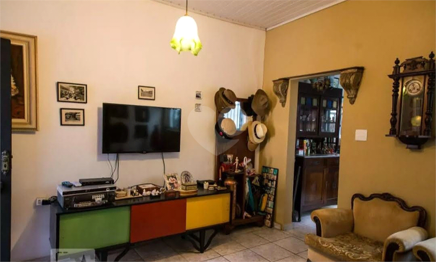 Foto REO168709