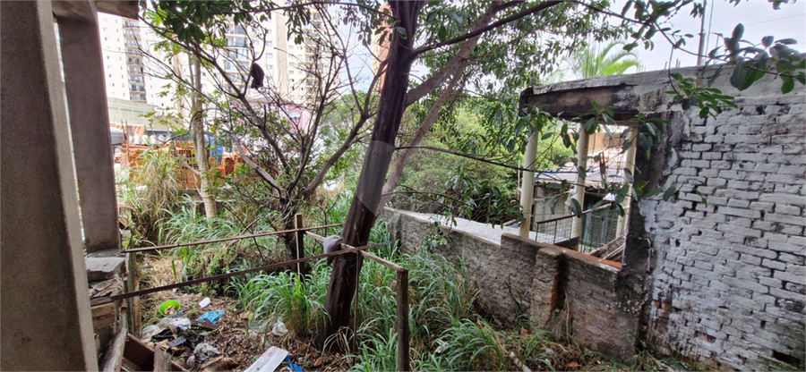 Foto REO168845