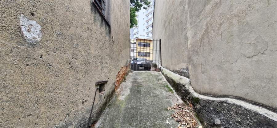 Foto REO168845