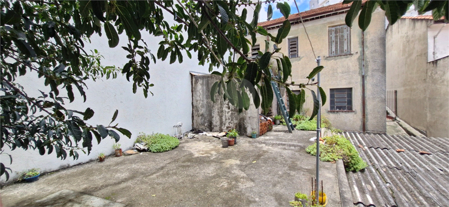 Foto REO168845