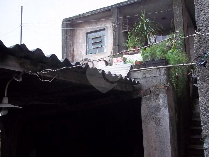Foto REO168845