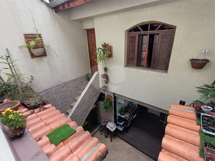 Foto REO168854