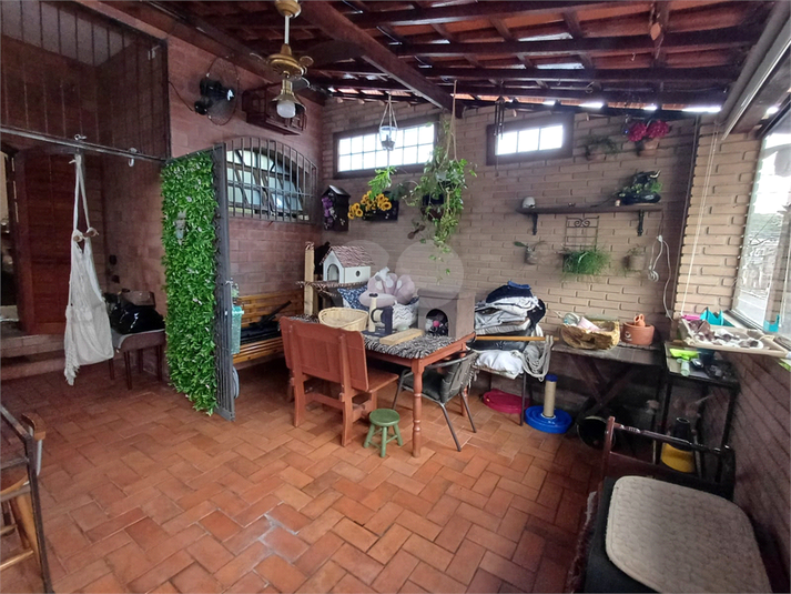 Foto REO168854