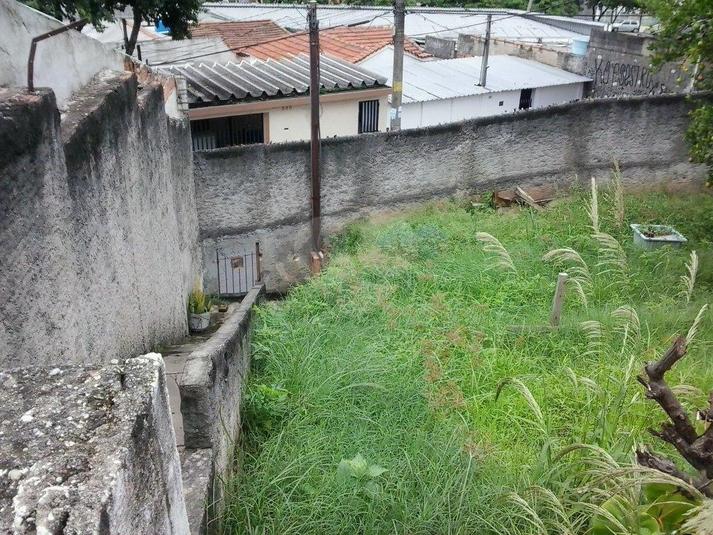 Venda Terreno São Paulo Vila Romero REO169046 13