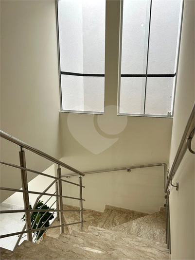 Foto REO169246