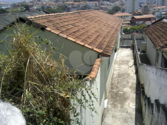 Foto REO169317