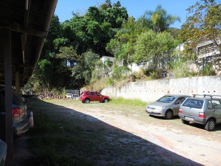 Foto REO169381