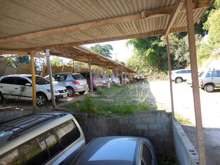 Foto REO169381