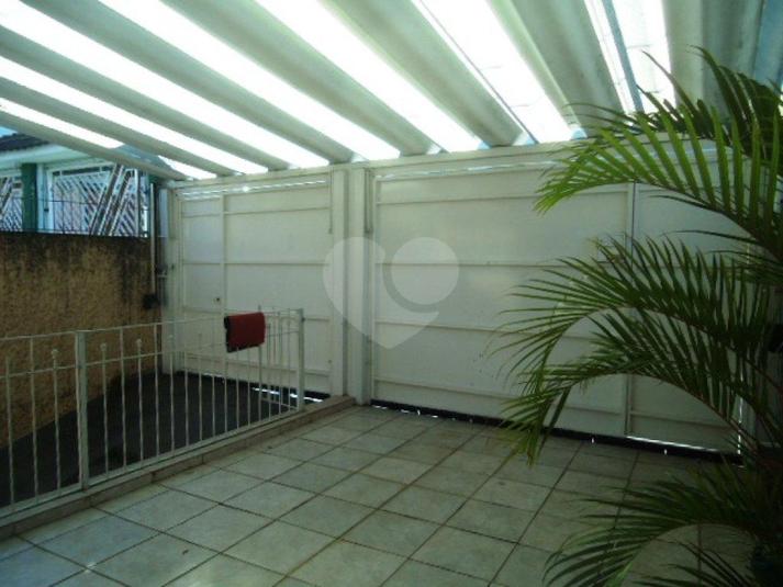 Foto REO169428
