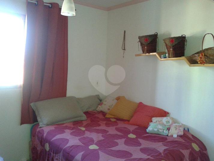 Foto REO169449
